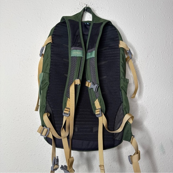 Osprey Forest Green Daylite Plus Backpack - Picture 6 of 15
